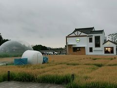 -MUSEO COFFEE咖啡博物馆