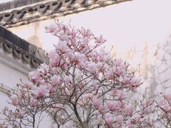 -耦园