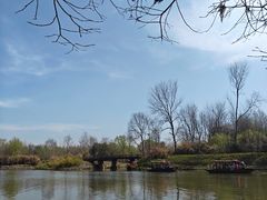 -溱湖国家湿地公园