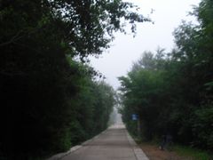 -五营红松林海景区