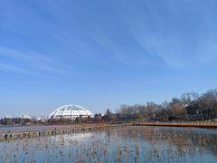 -太阳宫公园