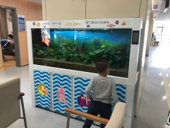 点击看大图 -上海交通大学医学院附属上海儿童医学中心(陆家嘴总院区)