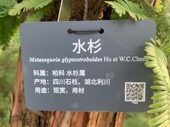 -国家植物园