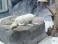 -海合安青岛极地海洋公园