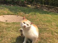 -上海市龙华烈士陵园