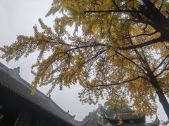 -名善山珍·野生菌汤锅(文殊院店)