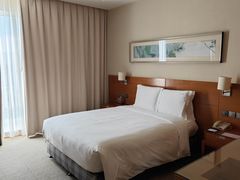 -上海浦东康桥绿地假日酒店