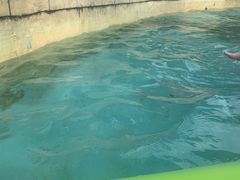 -汤山欢乐水世界