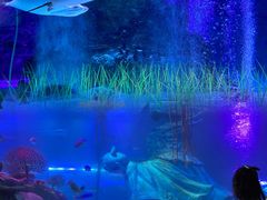 -沈阳海洋探索中心