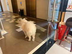 -肆兮眼镜·蔡司·徕卡战略合作店(大坪店)