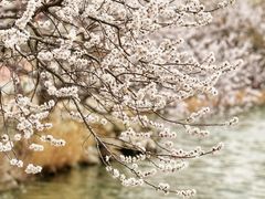 -颐和园
