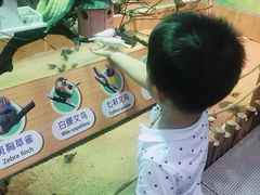 -萌宠奇缘