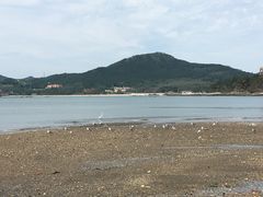 -广鹿岛景区