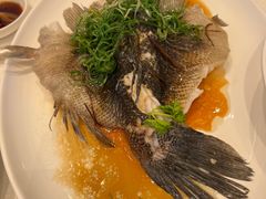 -金苑海鲜酒家(来魅力店)