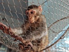 -石家庄市动物园