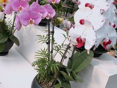 -兰陵国家农业公园