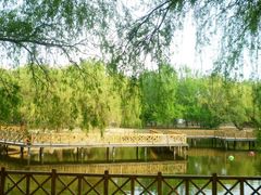 景点-沈阳南湖公园