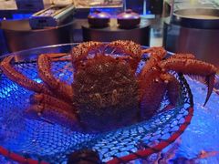 -豹豹私房火锅(侨城坊店)