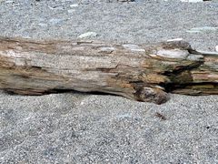 -七星潭蓝天广场