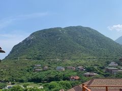 -杨梅坑