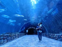 -华夏文旅海洋公园