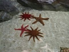 -福州罗源湾海洋世界旅游区