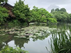 -西湖游船