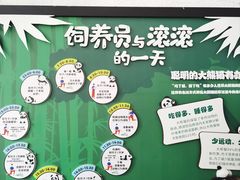 -成都动物园