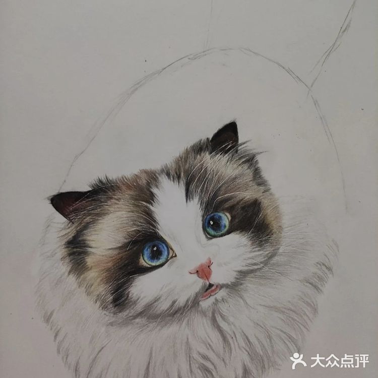 我的毛孩子[亲亲]