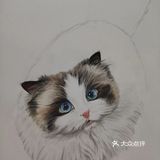 我的毛孩子[亲亲]