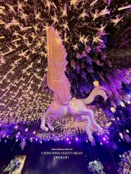 -花嫁丽舍婚礼殿堂(世博江景店)