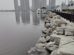 -海河外滩公园