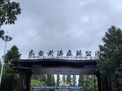 -黄海国家森林公园