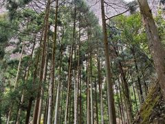 -雁荡山风景名胜区