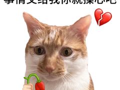 -三盛肥蛤(总店)