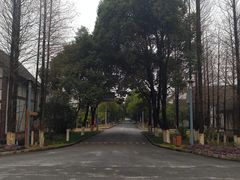 -太阳岛度假酒店