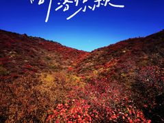 -水峪民俗村
