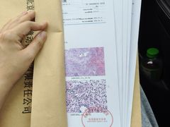 -全心全意动物诊疗中心医院(北苑店)
