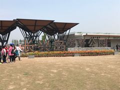 -上海长兴岛郊野公园