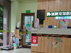 -瑞鹏宠物医院·夜间急症·心超·猫科(祖庙分店)
