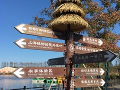 -上海长兴岛郊野公园