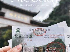-黔灵山公园
