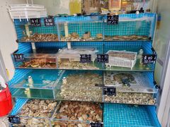 -北戴河庆山饭店·海鲜砂锅粥(北戴河黑石路店)