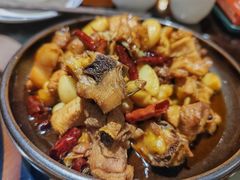 -志晖园圆子鸡·辣子鸡(阳光店)