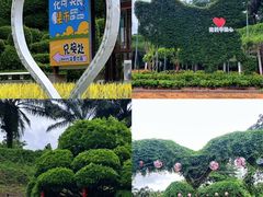 -东南花都花博园