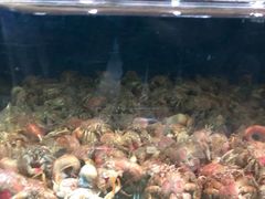 -海味当家·蒸锅海鲜(中山广场创始店)