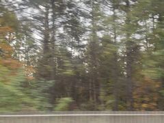 -帽儿山国家森林公园