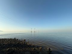 -宝安西湾红树林湿地公园