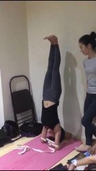 -元泉瑜伽培训学院