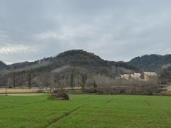 -千年银杏谷文化旅游区